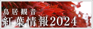 紅葉情報2024